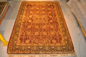 10 x 14 Tufted High Quality Rug