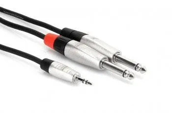 3.5MM TRS to Dual 1/4"  TR Cable, 10 foot