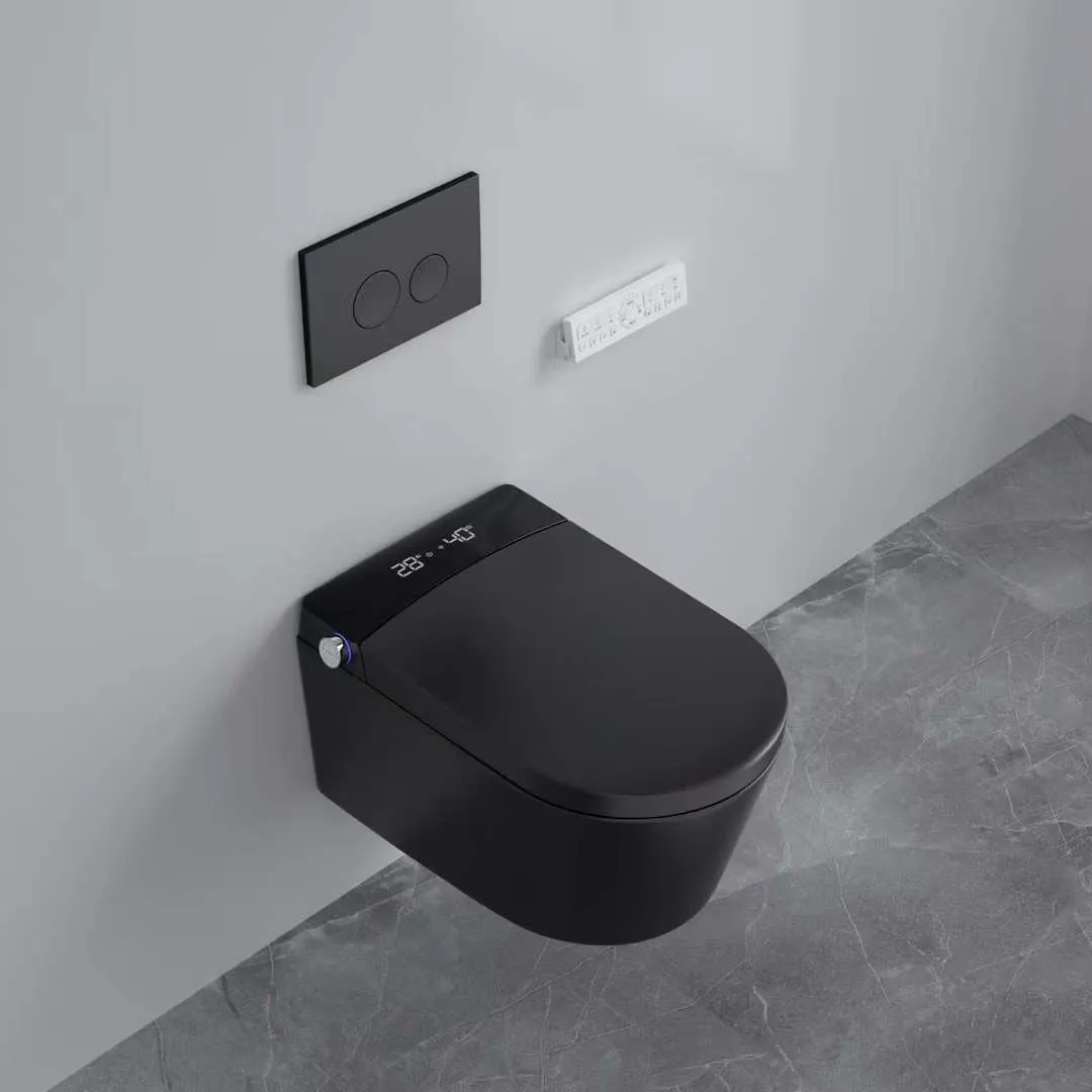 Aveeda| One-piece Elongated Wall Mounted Luxury Smart Toilet