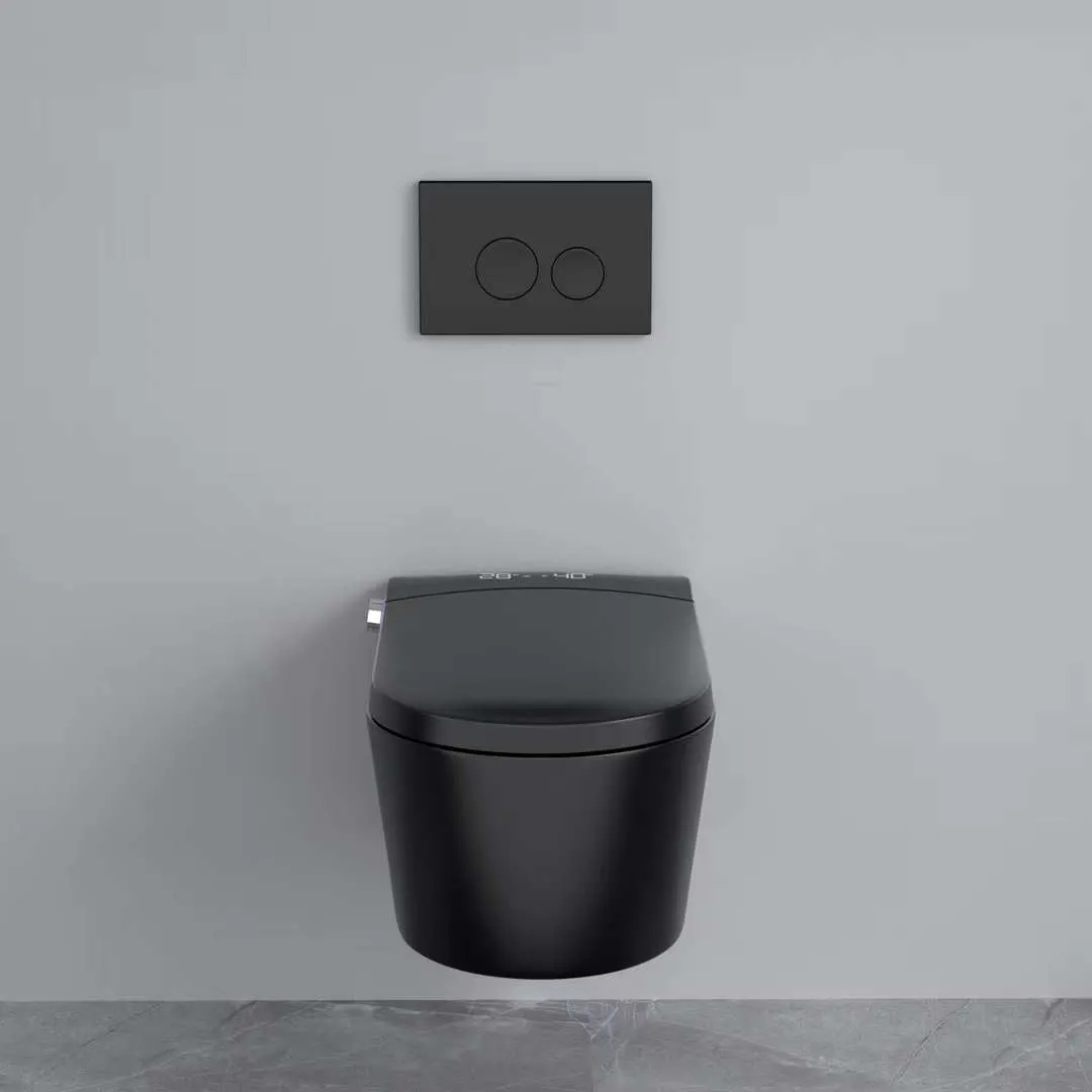 Aveeda| One-piece Elongated Wall Mounted Luxury Smart Toilet