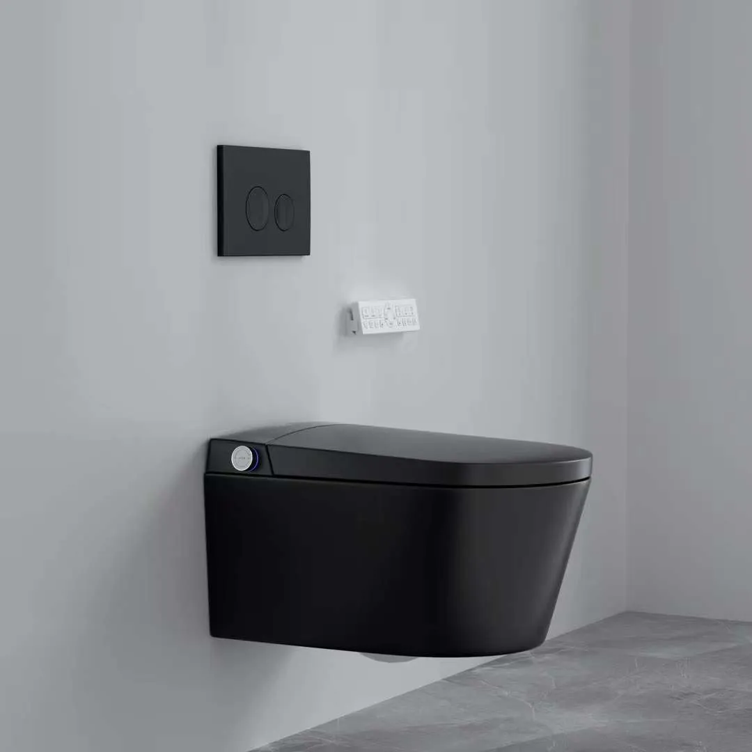 Aveeda| One-piece Elongated Wall Mounted Luxury Smart Toilet