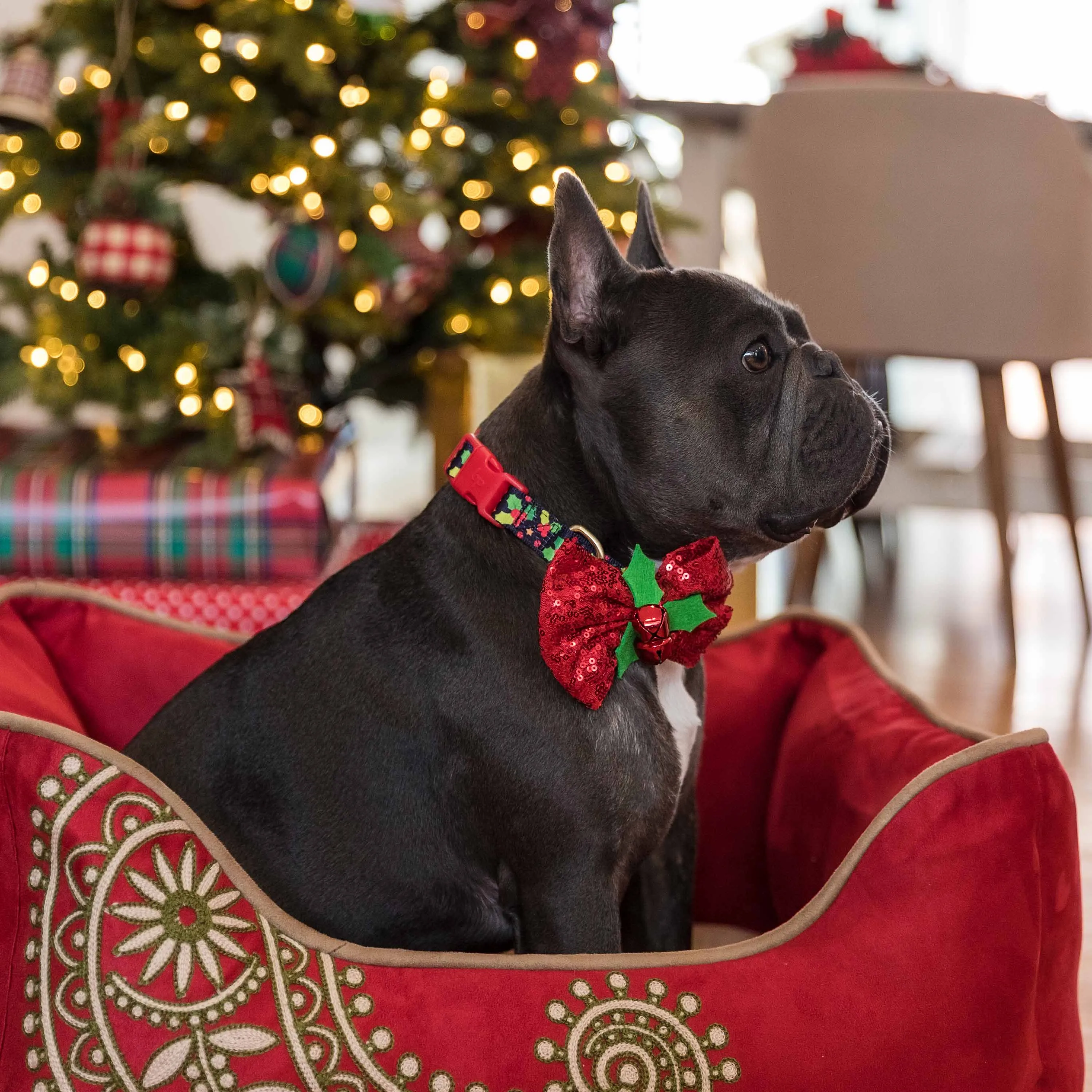 Cover-removable and Washable Paisley Inspired Embroidery Microsuede Dog Bed