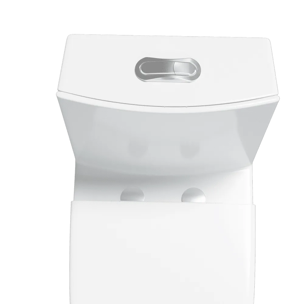 Giving Tree One Piece 1.1GPF/1.6 GPF Dual Flush Elongated Toilet