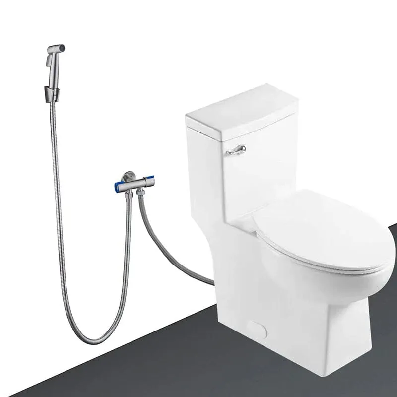 Giving Tree One-Piece Elongated Toilet Siphon Jet 1.28GPF Flushing with Bidet Sprayer