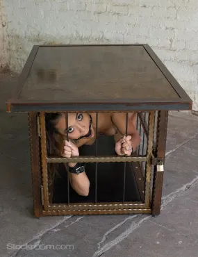 Hammered Steel Coffee Table/ Cage