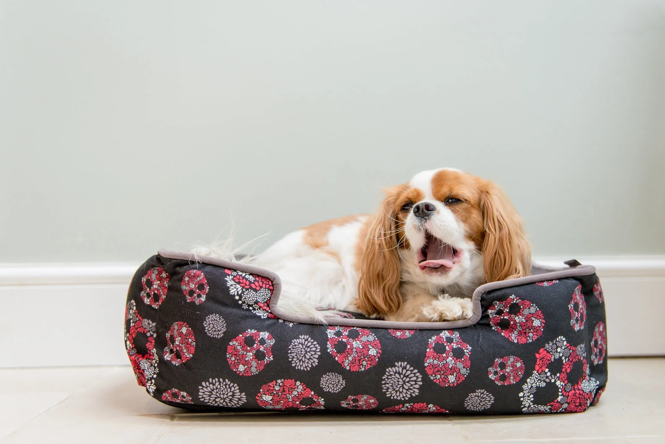 Skulls & Roses Lounge Bed